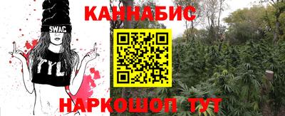 jwh Будённовск